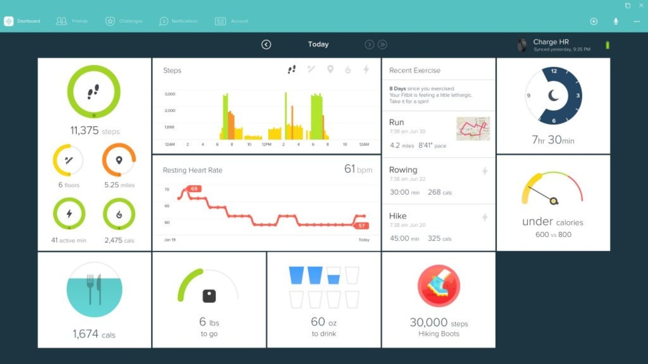 Fitbit Screenshot 2